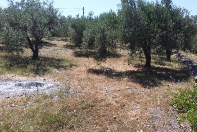 Kalathas Kreta, Kalathas: Grundstück mit Meerblick in der Nähe des Strandes zu verkaufen Grundstück kaufen